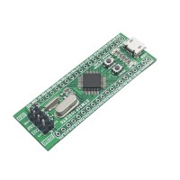 Microcontroller (MCU/MPU/SOC)