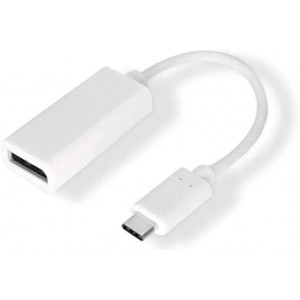 USB-C to DisplayPort Adapter - White (USB31-DP-9)