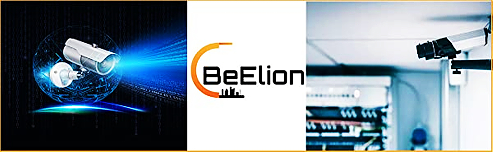 beelion logo