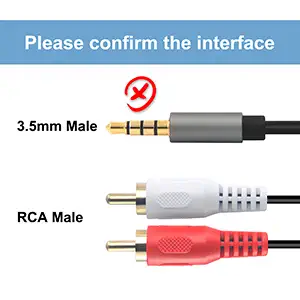 RCA FEMALE TO 2 RCA MALE ADAPTER